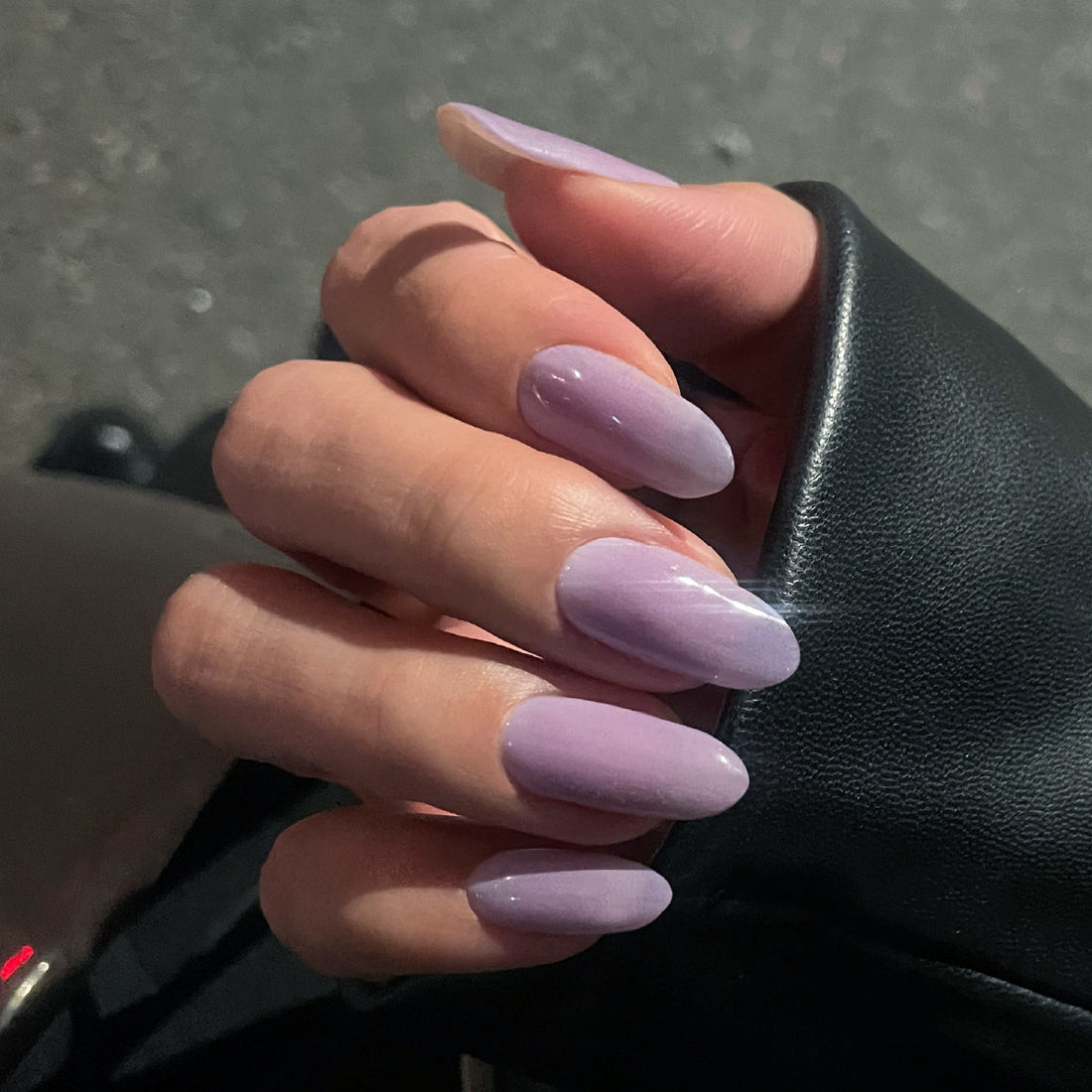 쉬어 라일락 Sheer Lilac