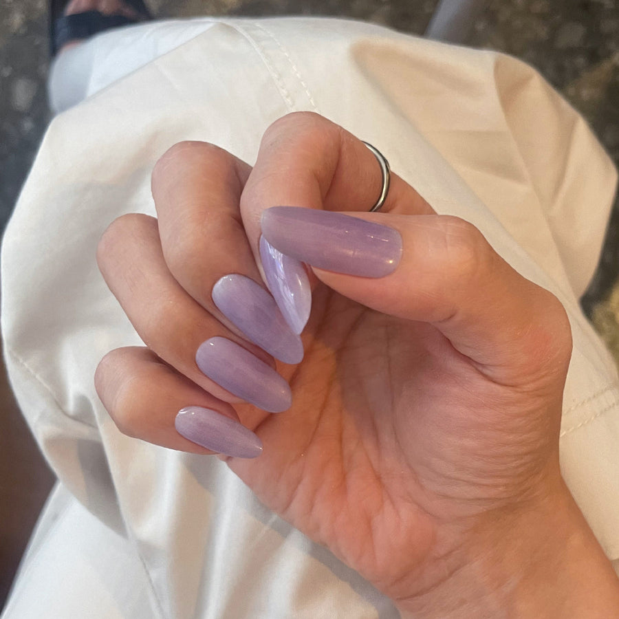 쉬어 라일락 Sheer Lilac